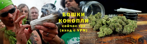 Альфа ПВП Майский